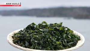Wakame
