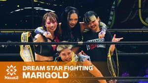 Marigold Burning Desire 2026 ~ Day 6