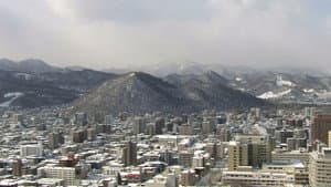 Forests in Sapporo, Winter