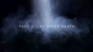 Twin Peaks: The Phenomenon Part 2