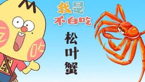 Episode 336