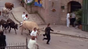 Caroline and the Secret Bullfighter (2)
