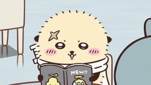 Episode 365