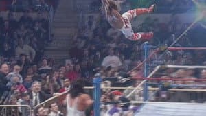 Andre the Giant