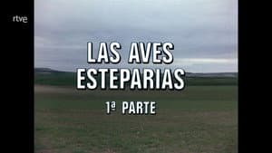The Steppe Birds I
