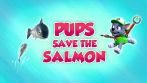 Pups Save the Salmon