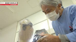 Prosthetics Pioneer - Usui Fumio