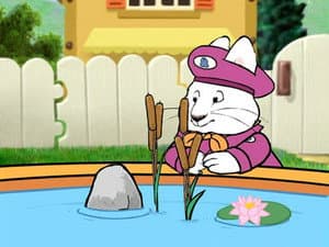 Ruby's Bird Bath