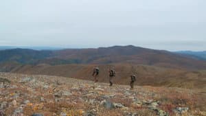 Fortymile Caribou (2)