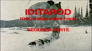 Iditarod. 1,000 Miles on Ice II