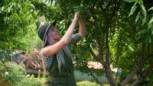 Episode 29 Spring: Grow a Salad Patch & Vertical Garden