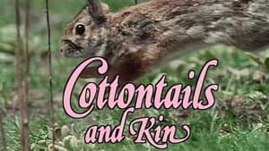 Cottontails and Kin