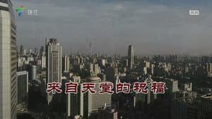 Episode 3591