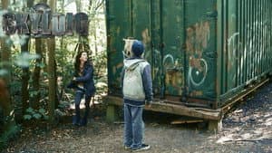 The Hideout in the Woods