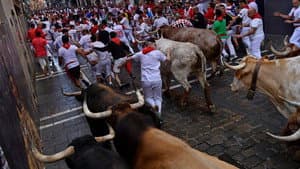 Primer Encierro - La Palmosilla