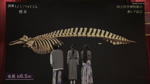 Earth’s Treasures: National Museum Specimens