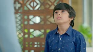 Ayush's Legal Custody