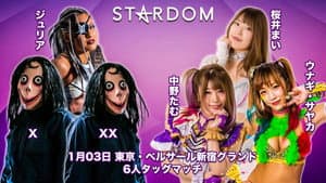 Stardom Award 2021 ~Day Match~