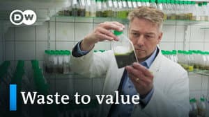 Can algae save the world?