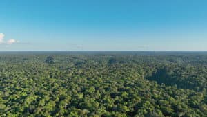 Secrets of the Amazon