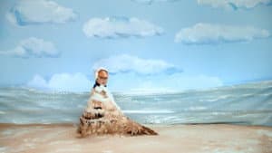 Piping Plover
