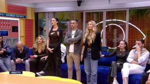 Última Hora #13