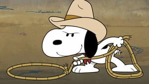 Camp Rodeo / The Hedge Toad