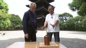 Earthquake-resistant Architecture