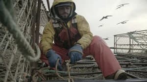 Lost at Sea