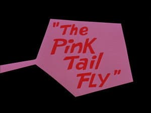 The Pink Tail Fly