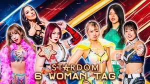 Stardom in Joetsu 2024