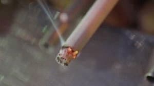 Search for a Safe Cigarette
