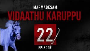 Episode 22