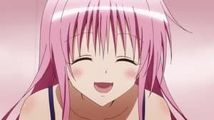 Prologue ~Commence Project~ / Pollen Plan ~Dangerous Sister Love~ / Body Touch? ~Nyanderful Life~