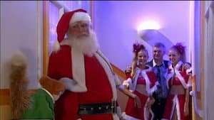 Molly Christmas