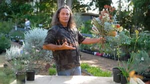 Episode 33 Natives; Slope; Hydro; Fauna; Aster; Therapy