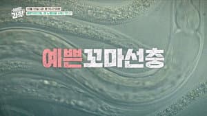 Episode 56
