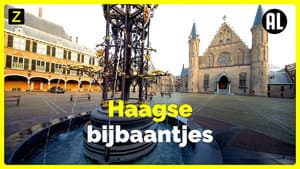 Haagse Bijbaantjes
