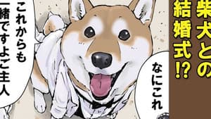 Teach Me, Haru-san / Vow of Servitude / Deer Antlers
