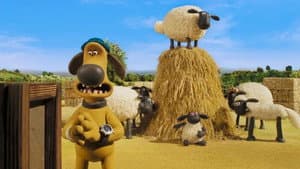 Bitzer's Bale Out