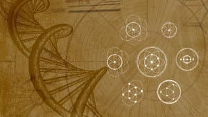Harmonious Fractals