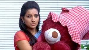 Vasant The Teddy Bear