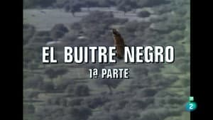 The Black Vulture I