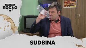 2313 Sudbina