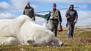 Living with Predators (Conservation)