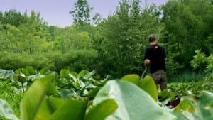 Swamp Stew: Michigan Bowfishing