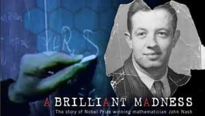 A Brilliant Madness