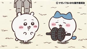 Episode 290