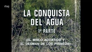 The Conquest of Water I