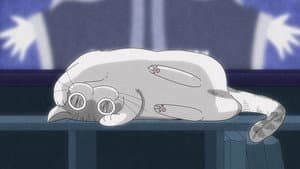 Night 27: The Movie-Interrupting Cat